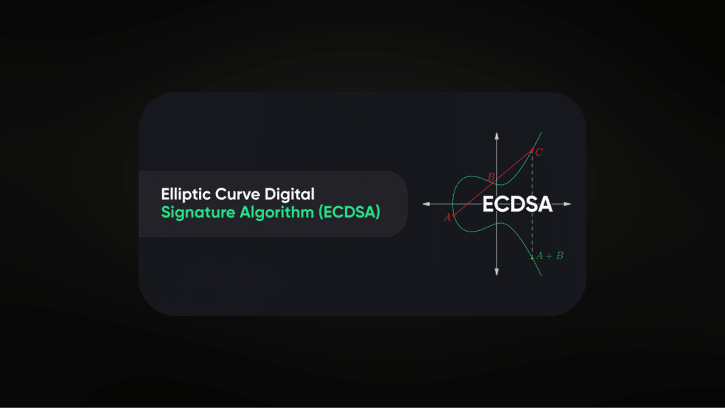 Algoritmo ECDSA en curvas elípticas: firma digital y criptografía para blockchain