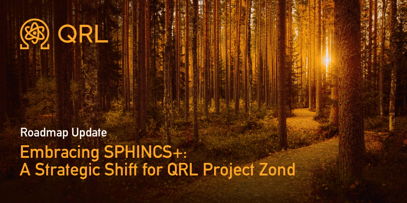 Bosque al atardecer con logo QRL y anuncio SPHINCS+: actualización de hoja de ruta del proyecto Zond